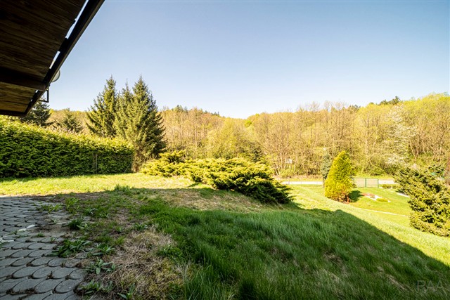 pozemek u chaty [8/42]