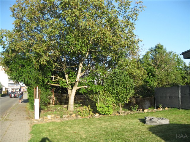 pohled na pozemek [2/19]